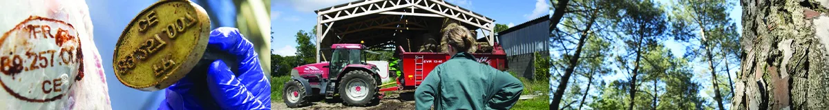 https://infoma.agriculture.gouv.fr/c-est-quoi-un-technicien-superieur-du-ministere-charge-de-l-agriculture-a724.html